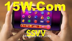 Premium Interface SSVV