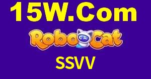 Sports Statistics SSVV